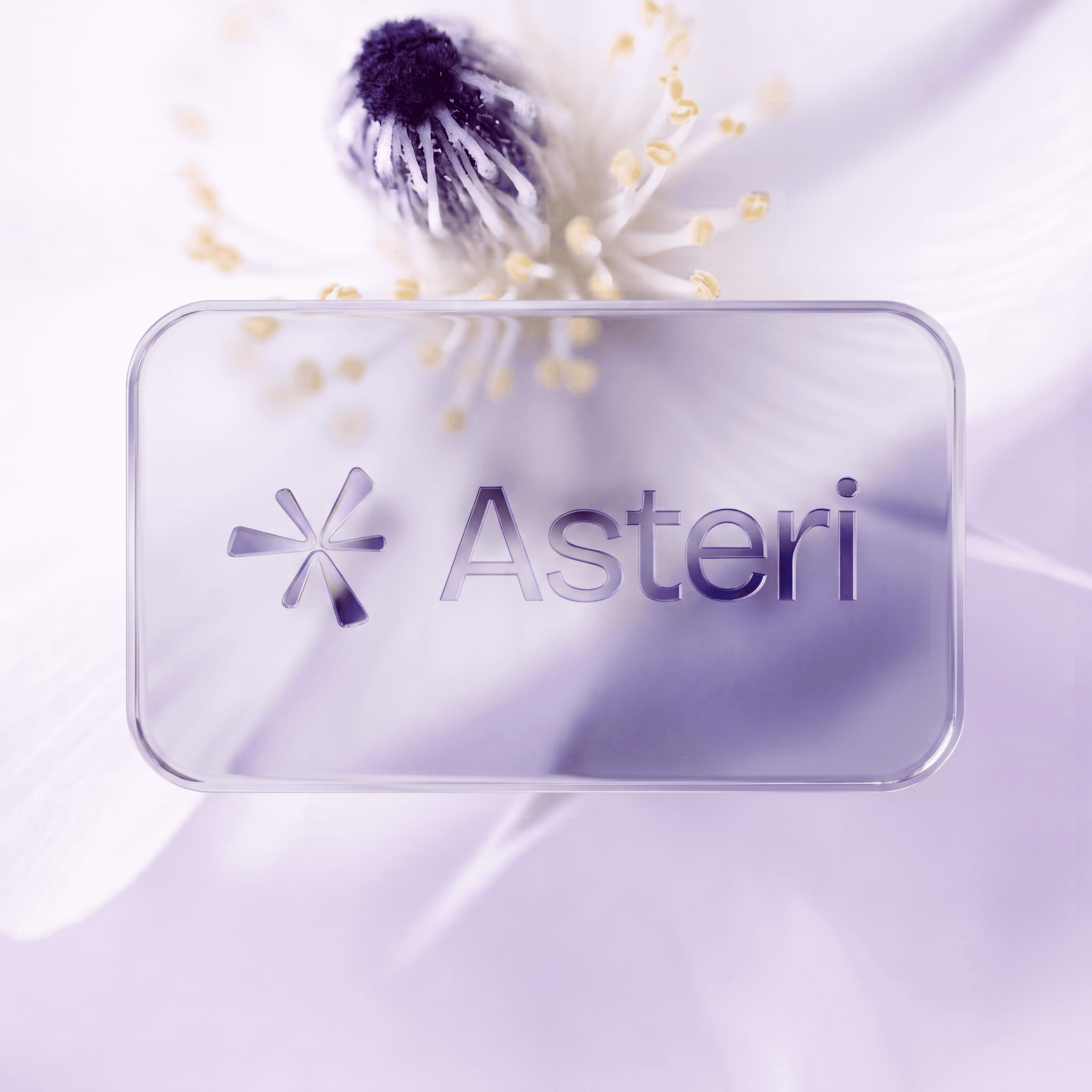 YEDART — marketplace artisanat marocain, B2C et B2B